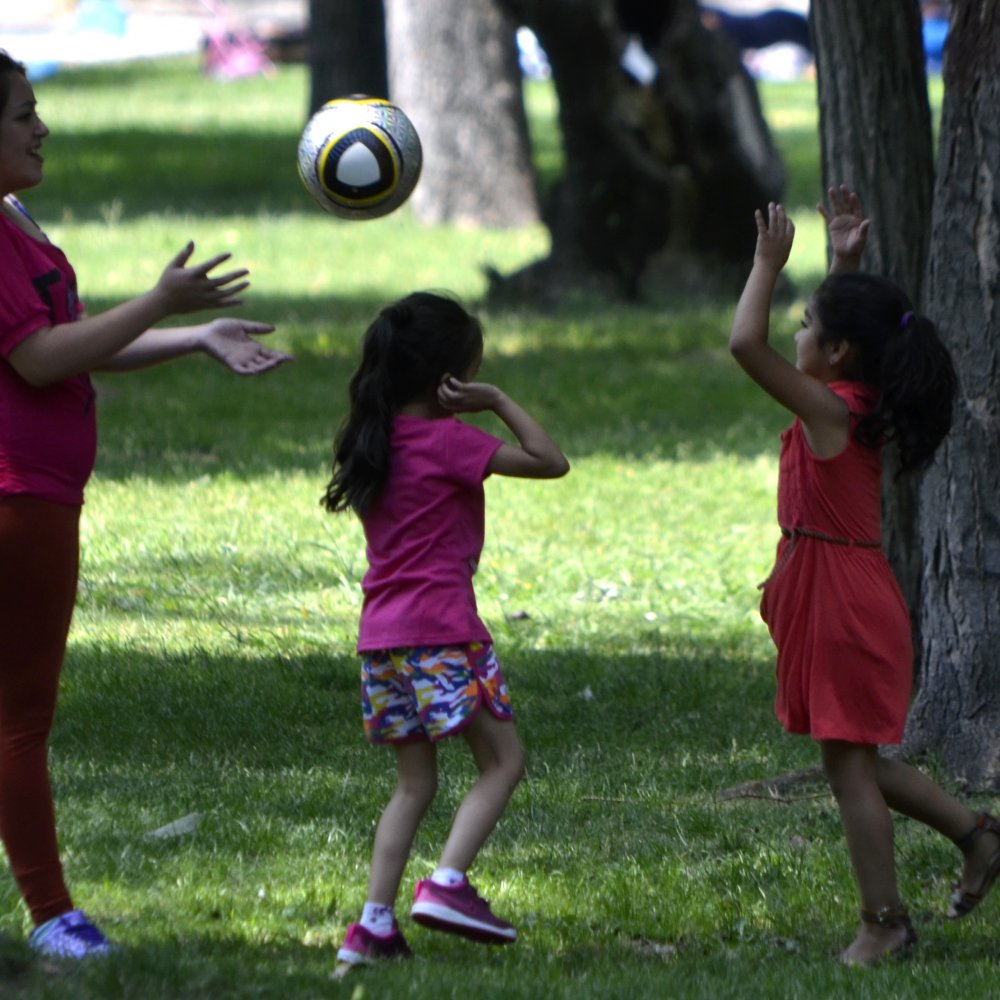 ¿Es hereditaria la personalidad?