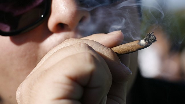 Ministra de Salud: Lo más probable es que la marihuana salga de las 