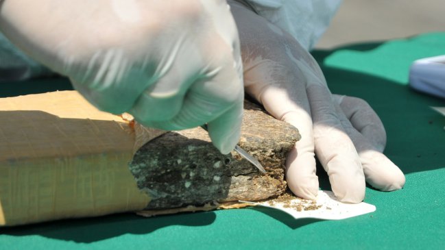 Interceptaron en Paraguay 161 kilos de marihuana que se enviaría a Chile