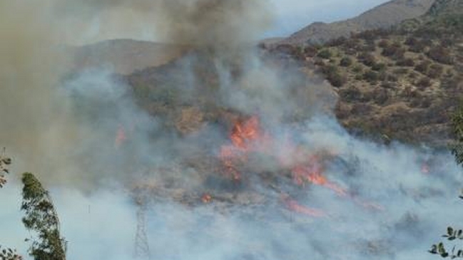 Incendio forestal en Cajón del Maipo moviliza a personal de emergencias
