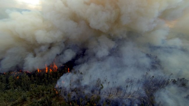 Alerta roja en San Antonio y Pichilemu por incendios forestales