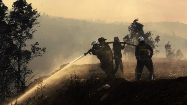 Promotora ONU: Chile debe profesionalizar a los bomberos