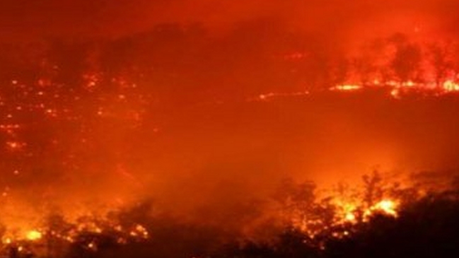 Imagen foto_00000015