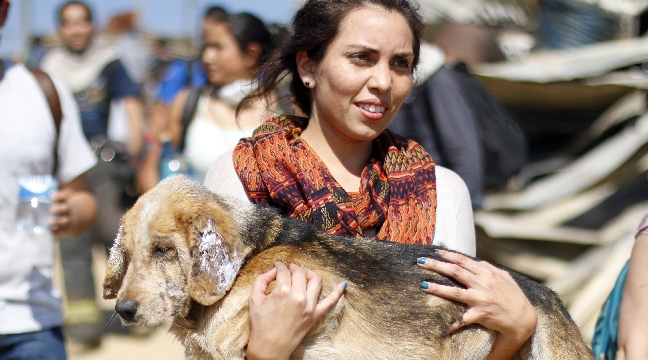 A 43 llegan las denuncias por difusión del incendio de Valparaíso