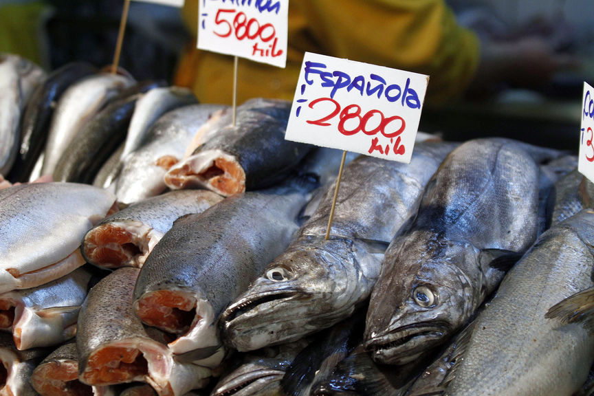 Semana Santa: Sernac detectó diferencias de más de 200 por ciento en pescados
