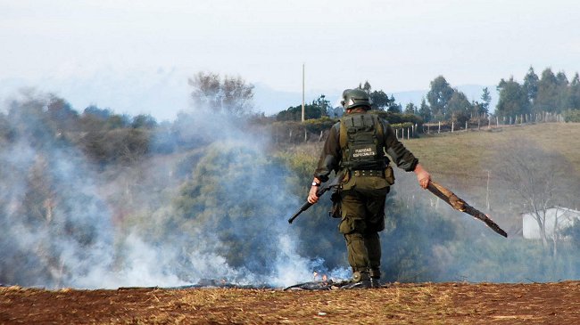 Desalojo de fundo termina con seis detenidos en Vilcún