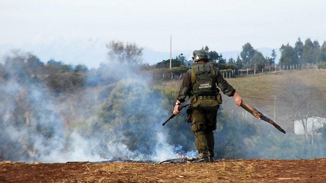 Desalojo de fundo termina con seis detenidos en Vilcún