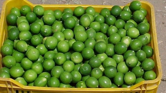 Ventas del comercio minorista muestran desaceleración