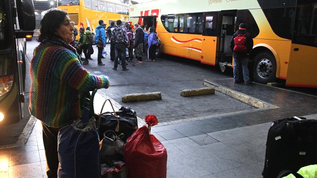 Cinturón obligatorio ha reducido en 60 por ciento las muertes en accidentes de buses