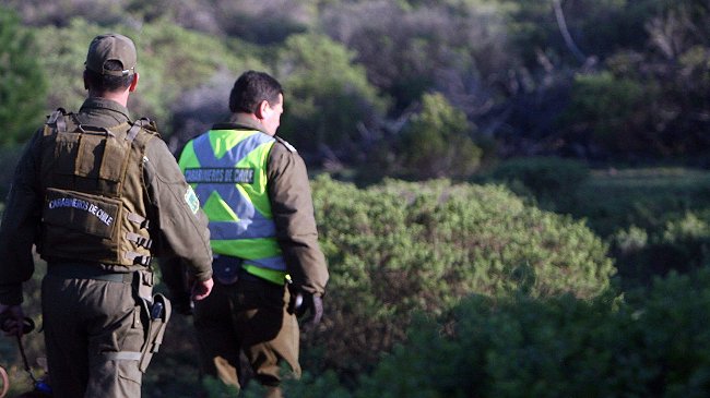 Valparaíso: Hombre murió atropellado mientras pedía ayuda tras desbarrancar