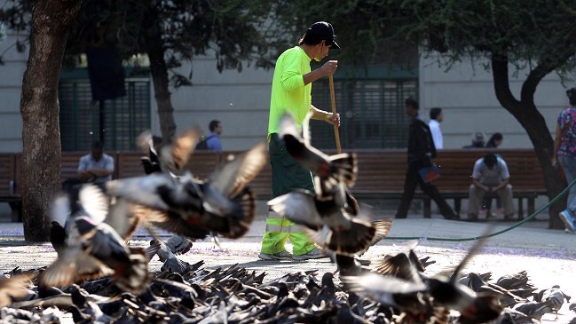 Recolectores de basura amenazan con nuevo paro si no hay respuesta esta semana