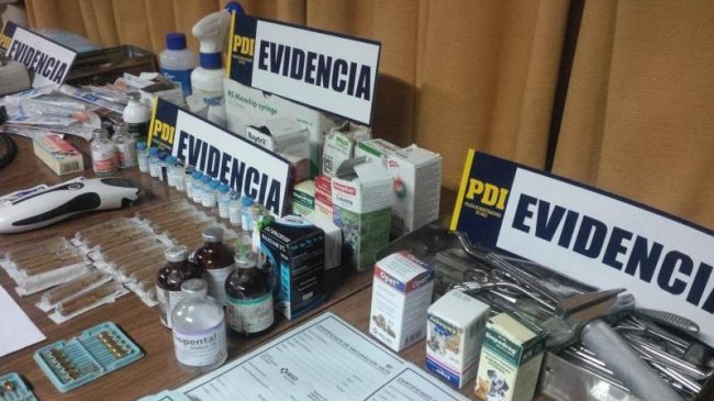 Falso veterinario mató al menos a cinco perros en fallidas operaciones