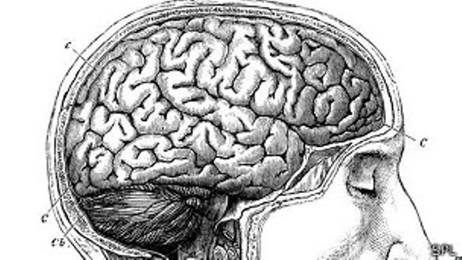 Imagen foto_00000002