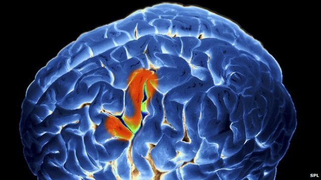 ¿Realmente se puede leer la mente?