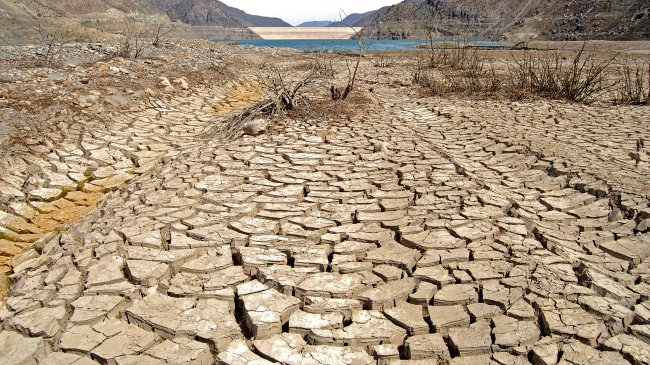 Gobierno quiere combatir la 