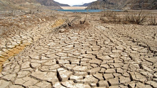 Gobierno quiere combatir la 