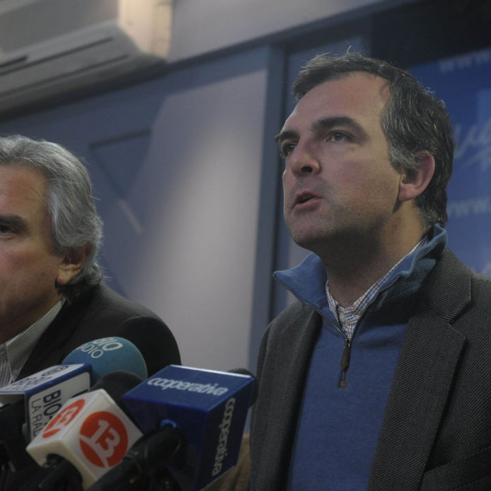 UDI: Reformas del Gobierno 