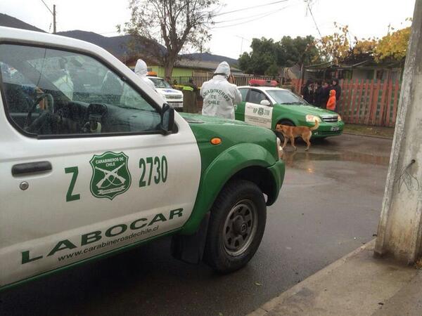 Madre e hijo murieron en incendio en la Región de Valparaíso