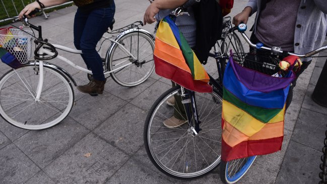 Movilh anunció indicación al AVP que regula custodia de hijos