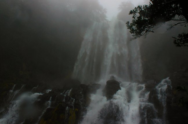 Imagen foto_00000017