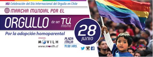 Movilh anunció marcha por la adopción homoparental