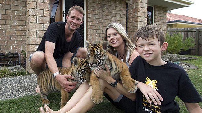 Cómo es vivir con dos tigres dentro de tu casa