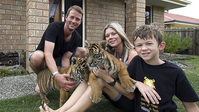 Cómo es vivir con dos tigres dentro de tu casa