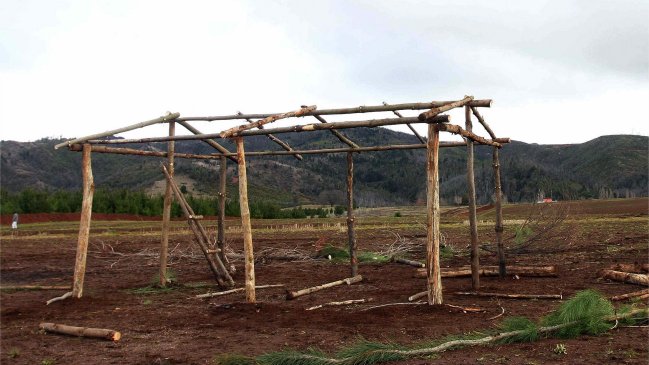 Nueva política de tierras: Conadi negocia con 40 dueños de predios en La Araucanía
