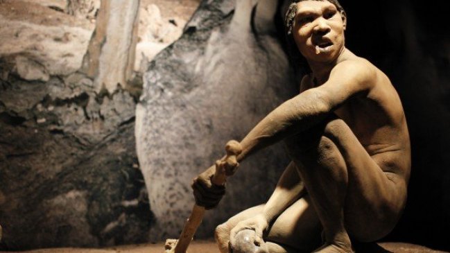 ¿Realmente deberíamos comer como los cavernícolas?