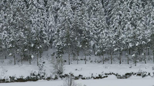 Nuevas evidencias descartan existencia del 