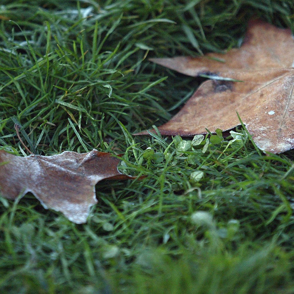 Meteorología prevé heladas para este jueves en la zona central tras precipitaciones