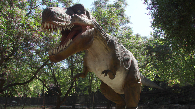 Los mejores panoramas para las vacaciones de invierno