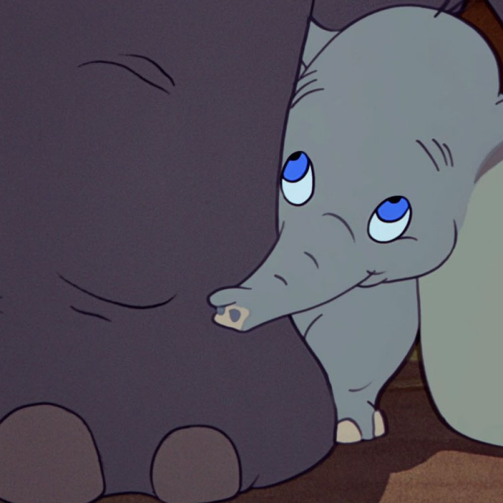 Preparan nueva versión de 