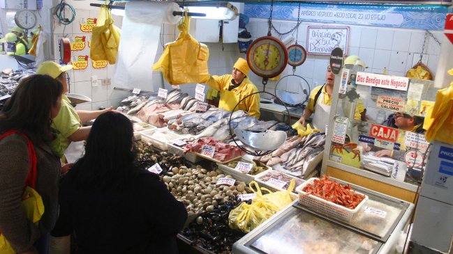 Oceana exigió transparentar los antibióticos que colocan al salmón chileno