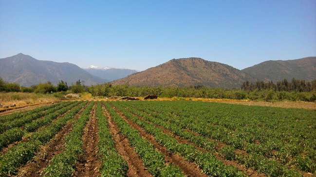 Los países que se benefician con el paso de la corriente de El Niño