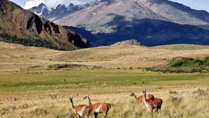   Parque privado Patagonia abrirá 80 mil hectáreas al público en octubre 