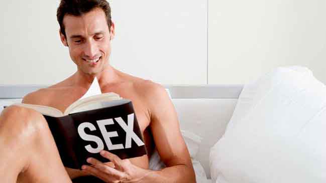 ¿Cómo es el cerebro de un 