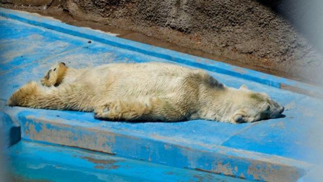 Masiva campaña pide 