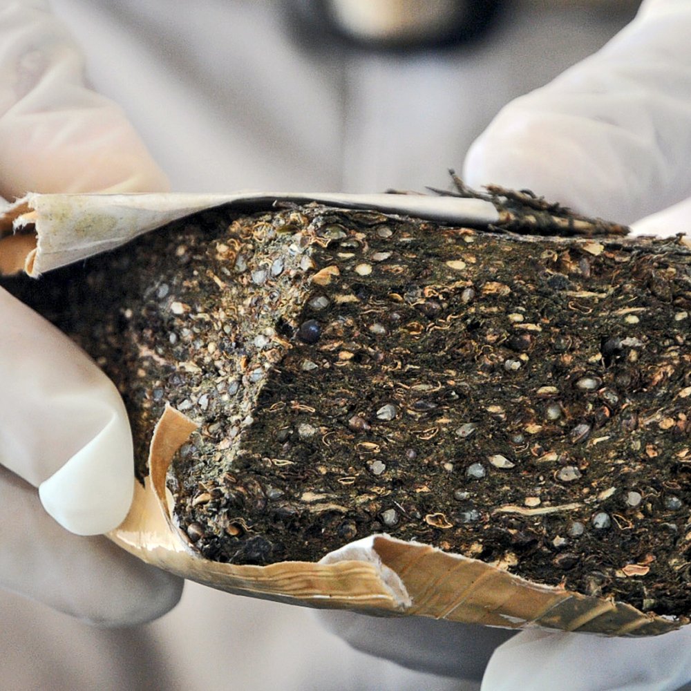 Autoridades decomisaron 638 kilos de marihuana en bus de equipo paraguayo