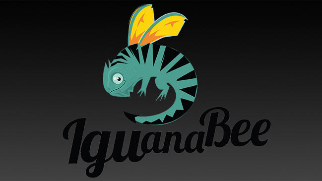 Desarrolladora chilena para Playstation: Todo depende de tener buenos conceptos