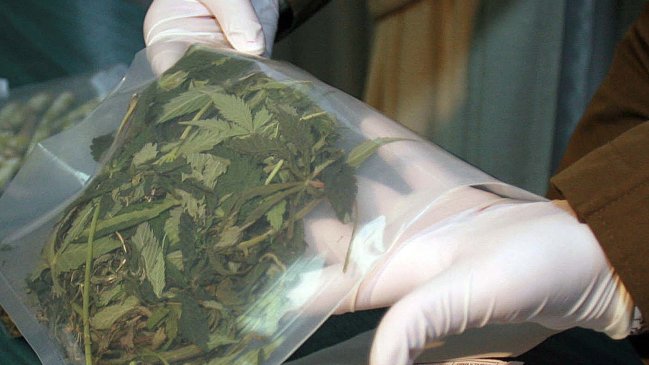 Diputado RN propuso examen de drogas para los parlamentarios