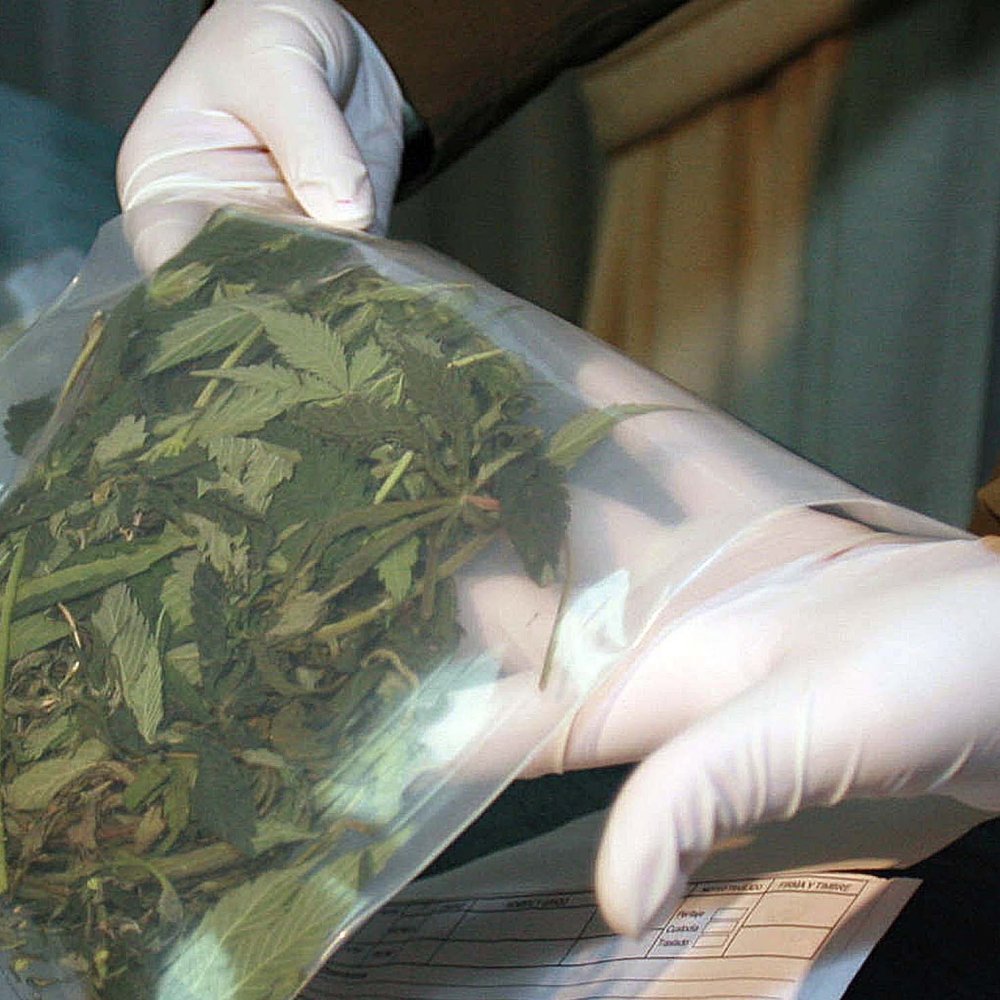 Diputado RN propuso examen de drogas para los parlamentarios