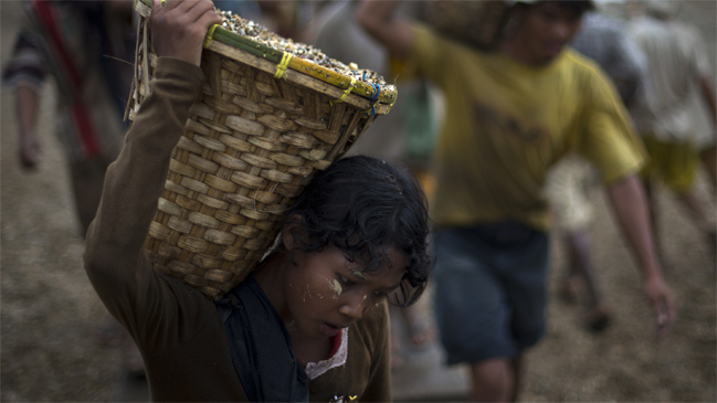 Desaparición de animales salvajes intensifica la esclavización y el crimen