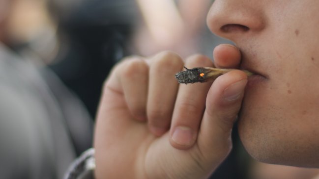 Las ventajas del autocultivo de marihuana contra el 