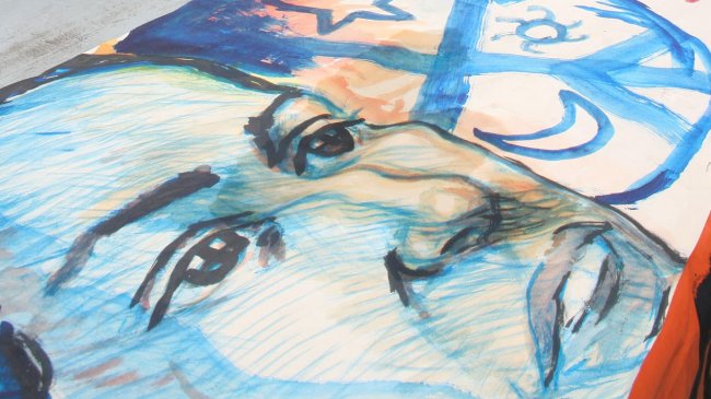 FIDH celebró condena a Chile por aplicar Ley Antiterrorista a mapuches