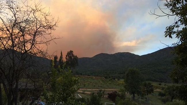 Más de 30 hectáreas afectadas por incendio en Colliguay