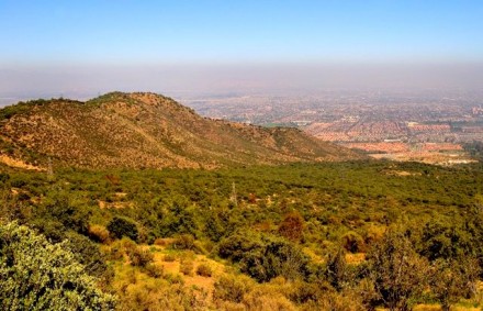 Vecinos de La Florida marchan en defensa del bosque El Panul