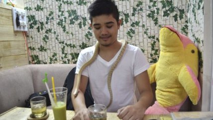   Una cafetería donde los clientes acarician reptiles 