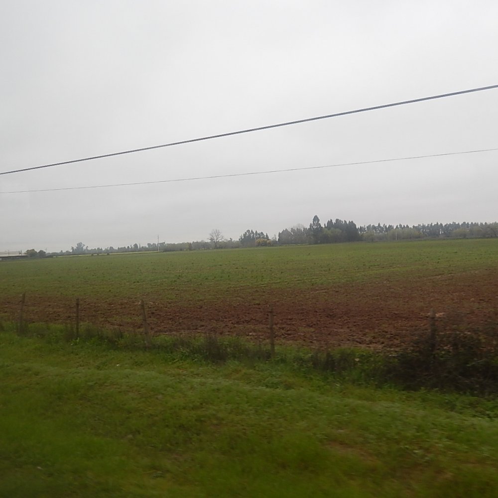 Alcalde de San Clemente quiere un aeropuerto para la Región del Maule