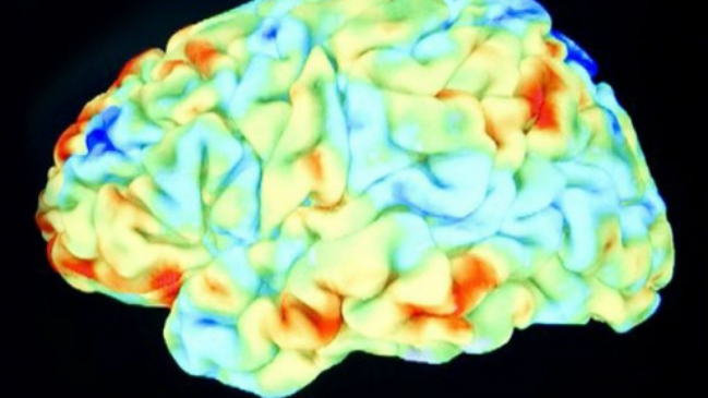 Descubrieron el proceso cerebral que se esconde tras las acciones recurrentes